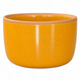 Solid Dish Soap Jar & Brush