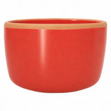 Solid Dish Soap Jar & Brush