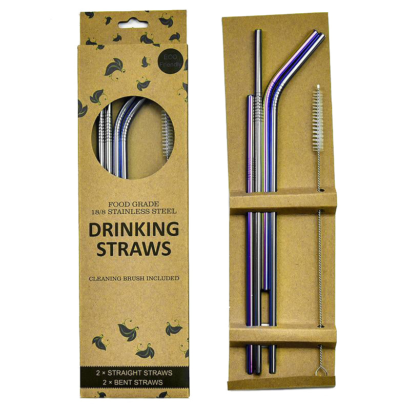 Stainless Steel Straw 4-Piece Set