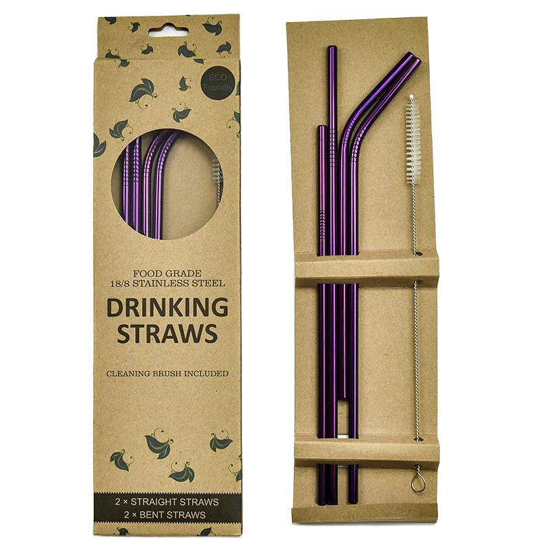 Stainless Steel Straw 4-Piece Set